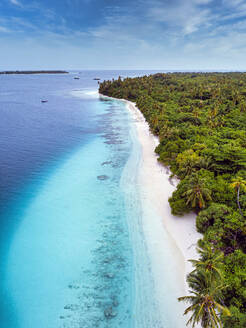 Maldives, Kolhumadulu Atoll, Aerial view of forested coastline of Kanimeedhoo island - KNTF06402