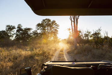 Safari-Fahrzeug bei Sonnenaufgang, Okavango-Delta, Botswana. - MINF16451