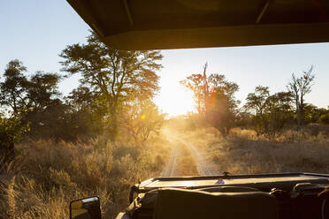 Safari-Fahrzeug bei Sonnenaufgang, Okavango-Delta, Botswana. - MINF16452