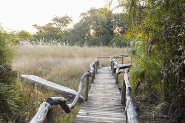 Holzsteg in einem Safaricamp im Okavango-Delta, Botswana. - MINF16463