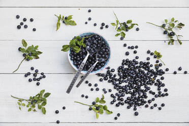 Schale mit frischen Blaubeeren auf einem weißen Tisch - GWF07189