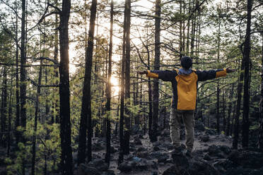 Mature man standing with arms outstretched in forest - SIPF02578