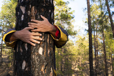 Mature man hugging tree in forest during sunny day - SIPF02579