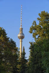 Deutschland, Berlin, Berliner Fernsehturm mit Bäumen im Vordergrund - ABOF00699