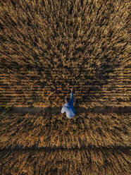 Mann prüft Roggenernte auf einem landwirtschaftlichen Feld bei Sonnenuntergang - KNTF06408