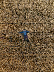 Man relaxing while lying on rye field - KNTF06411