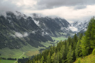 Low clouds over green valley in High Tauern National Park - RJF00901