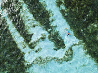 Mid adult man swimming in ocean at Huraa island, Maldives - KNTF06429