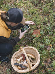 Frau fotografiert Pilz durch Handy, während sie im Wald hockt - KNTF06434