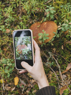 Mittlere erwachsene Frau fotografiert einen Steinpilz im Wald - KNTF06435