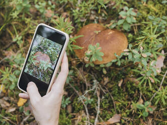 Woman taking photograph of mushroom through smart phone - KNTF06436