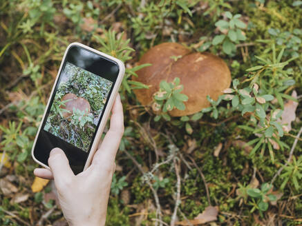 Frau fotografiert einen Pilz mit ihrem Smartphone - KNTF06436
