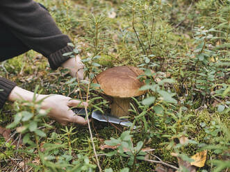 Mittlere erwachsene Frau schneidet Pilz mit Messer - KNTF06437