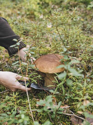 Mittlere erwachsene Frau beim Pilzesammeln im Wald - KNTF06438