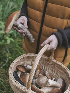 Frau mit Weidenkorb hält Pilz im Wald - KNTF06460