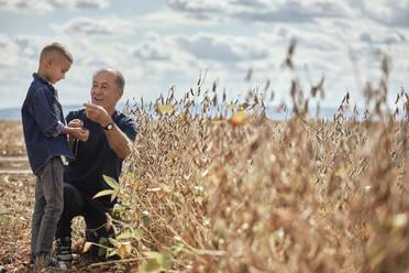 Smiling grandfather talking with grandson in agricultural field - ZEDF04261