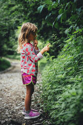 Girl counting Urtica dioica plant in forest - OMIF00125