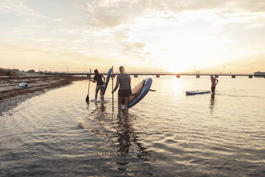 Weibliche und männliche Freunde gehen mit Paddleboard im Wasser am Strand - MASF25672