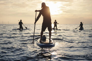 Männliche und weibliche Freunde rudern Paddleboard im Meer bei Sonnenuntergang - MASF25686