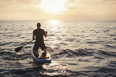 Rückansicht des Mannes Rudern Paddleboard im Meer bei Sonnenuntergang - MASF25690