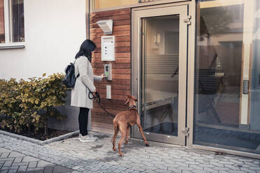Frau gibt das Passwort ein, um die Tür zu öffnen, während sie mit ihrem Hund am Eingang der Wohnung steht - MASF25776
