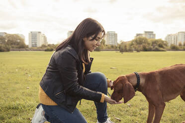 Seitenansicht einer lächelnden jungen Frau, die einen Hund in einem öffentlichen Park füttert - MASF25777