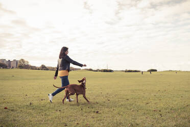 Young female owner training Vizsla dog in public park - MASF25779