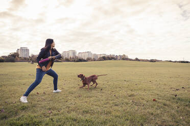 Junge Frau wirft Spielzeug beim Spielen mit Hund in öffentlichem Park - MASF25781