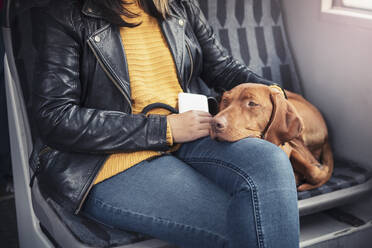 Hund lehnt auf dem Schoß der Besitzerin in der Seilbahn - MASF25784