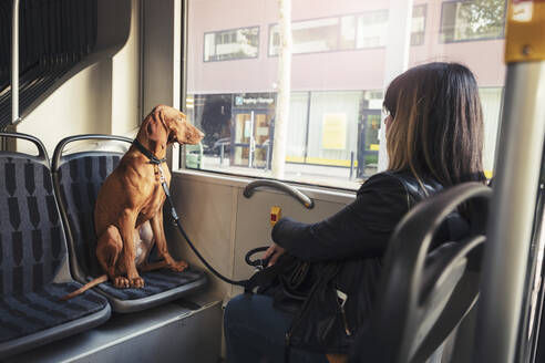 Hund, der durch das Fenster schaut, während er mit einer Frau in der Seilbahn pendelt - MASF25794