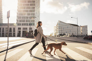 Seitenansicht einer Frau beim Überqueren der Straße mit einem Hund auf der Straße im Sonnenlicht - MASF25802