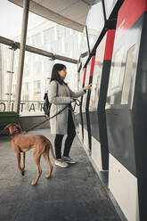 Junge Frau benutzt einen Fahrkartenautomaten, während sie mit ihrem Hund am Bahnhof pendelt - MASF25806