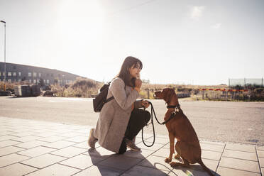 Junge Frau beim Gehorsamstraining für einen Hund auf einem Fußweg an einem sonnigen Tag - MASF25813