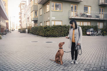 Frau, die einem auf dem Gehweg sitzenden Hund Gehorsamkeitstraining gibt - MASF25817