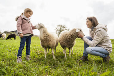 Smiling mother and daughter with sheep at field - DIGF16560