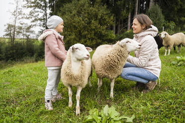 Smiling mother and daughter with sheep looking at each other in farm - DIGF16567