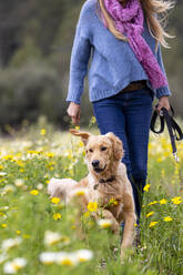 Spanien, Mallorca, Frau mit Golden Retriever in blühender Wiese - ISF25139