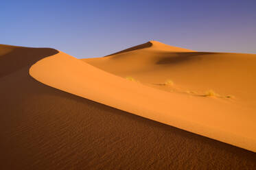 Marokko, Ziz-Tal, der orangefarbene Sand des Erg Chebbi in der Wüste Sahara - ISF25272
