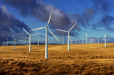 UK, Wales, Powys, Wind turbines in field - ISF25319