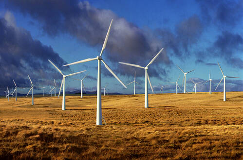 UK, Wales, Powys, Windkraftanlagen auf einem Feld - ISF25319