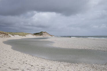 Landschaftsbild der Insel Sylt - HLF01264