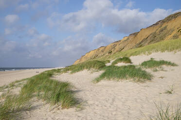 Landscape scenery of cliff on island Sylt - HLF01266