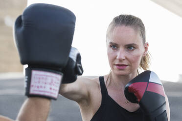 Determined female athlete practicing boxing - PNAF02378