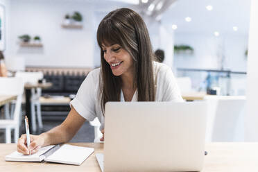 Lächelnde weibliche Fachkraft mit Laptop, die am Tisch in ihr Tagebuch schreibt - PNAF02455