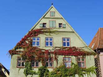 Deutschland, Bayern, Dinkelsbuhl, Efeu überwuchert grünes, pastellfarbenes Haus - WIF04442