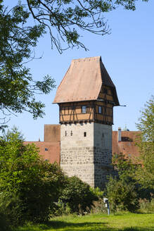 Deutschland, Bayern, Dinkelsbuhl, Bauerlinturm im Sommer - WIF04448