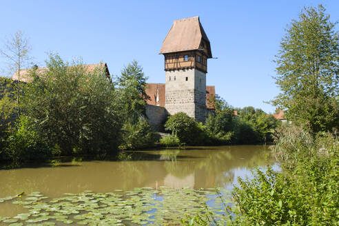 Deutschland, Bayern, Dinkelsbuhl, Fluss Wornitz im Sommer mit Bauerlinturm im Hintergrund - WIF04449