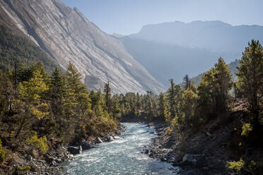 Rasch fließender Strom sauberen Wassers inmitten von Nadelwäldern an den Hängen hoher Berge in Nepal - ADSF31180