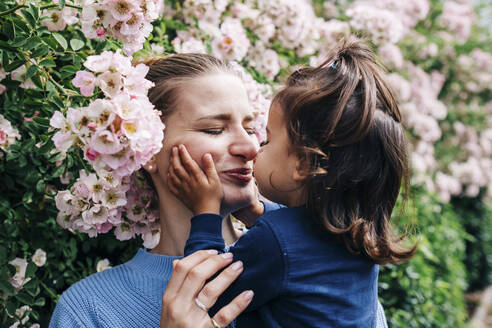 Daughter kissing mother by flowering plants - AMWF00033