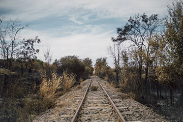 Eisenbahnstrecke auf dem Lande im Herbst - MEUF04548